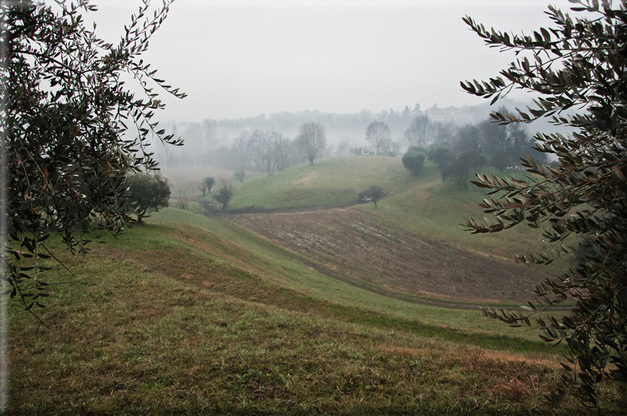 foto Colline di Romano d'Ezzelino nella Nebbia